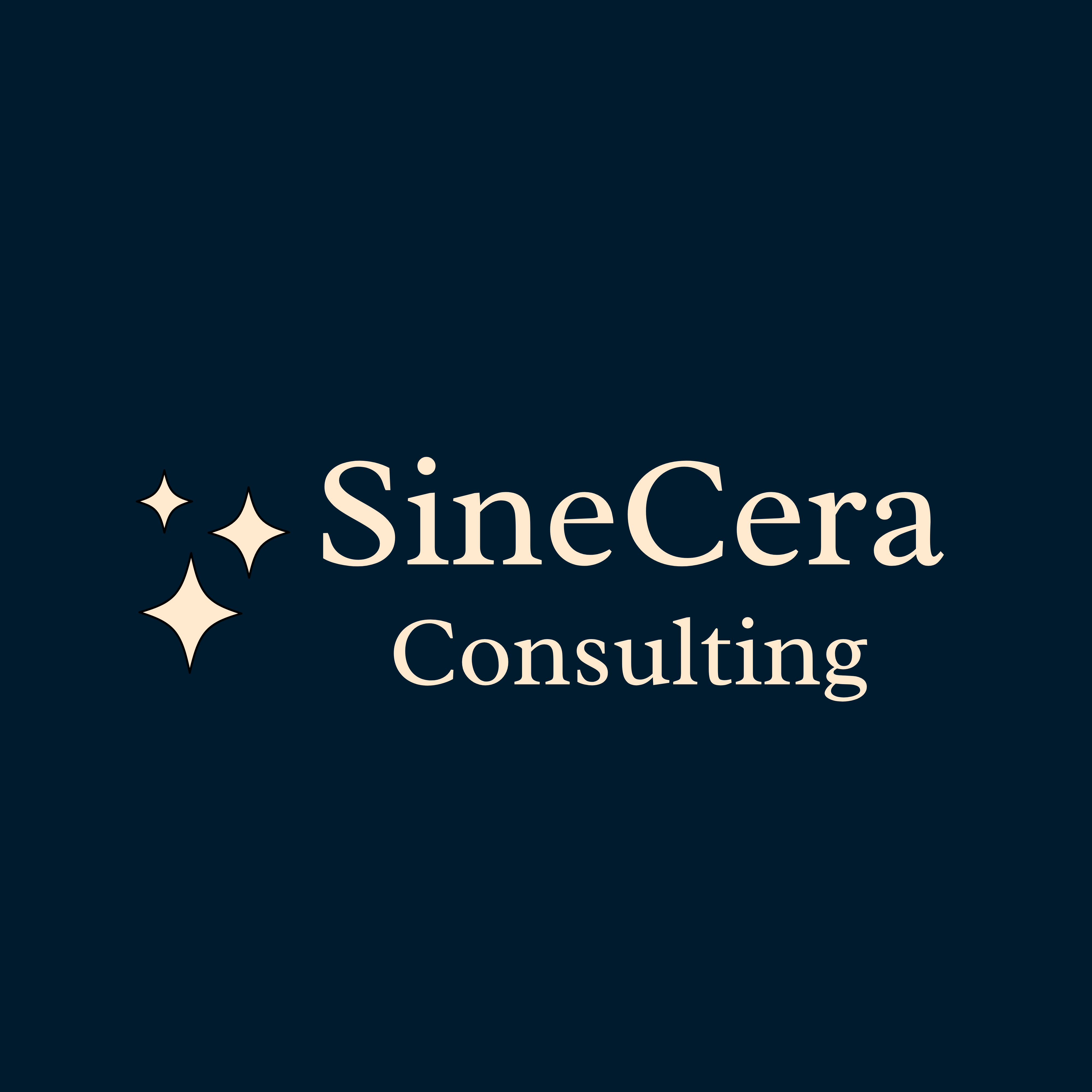 NovaConsulting Template